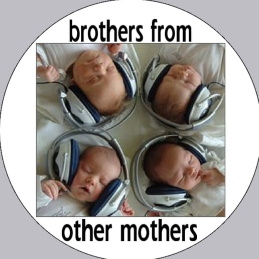 Gallery photo 9 of Brothers From Other Mothers