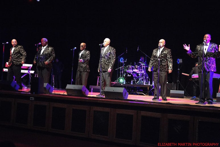 Gallery photo 8 of Brothers That Sing