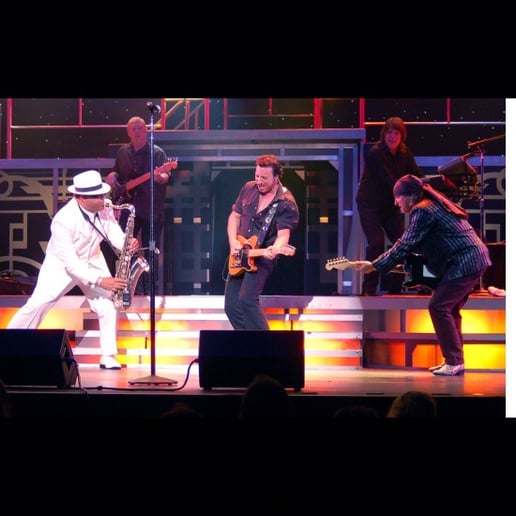 Gallery photo 10 of Bruce In The USA