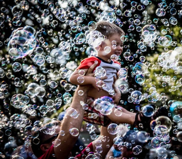 Gallery photo 6 of Bubble Bus Orlando