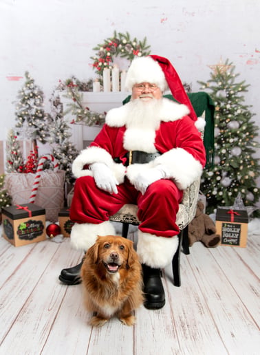 Gallery photo 3 of BuckeyeClaus
