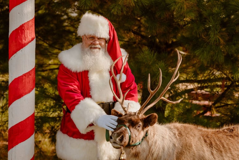 Gallery photo 6 of BuckeyeClaus