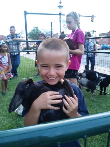 Gallery photo 3 of Buffalo Mobile Petting Zoo