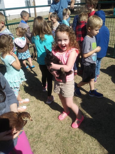 Gallery photo 4 of Buffalo Mobile Petting Zoo