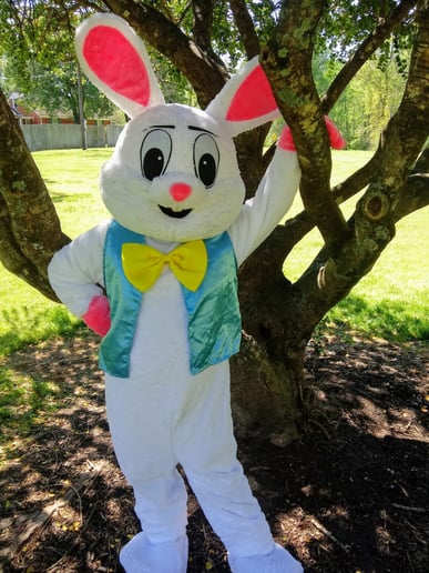 Gallery photo 3 of Bunny Genius Inc.