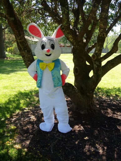 Gallery photo 4 of Bunny Genius Inc.