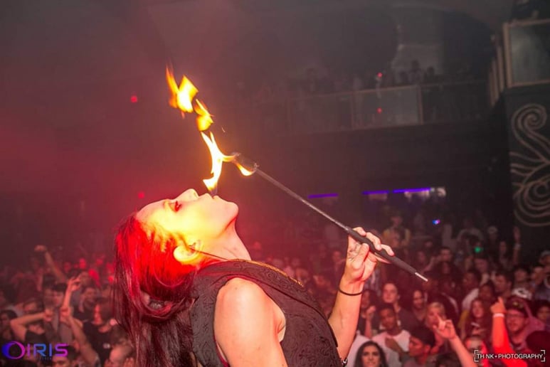 Gallery photo 8 of Bunny on Fire