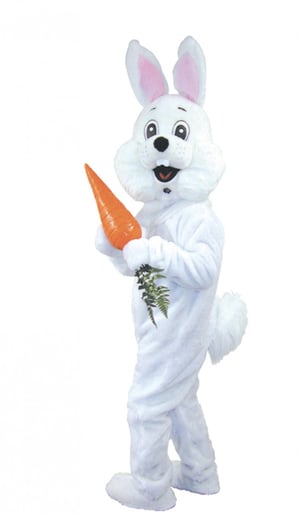 Gallery photo 5 of Bunnys R Us