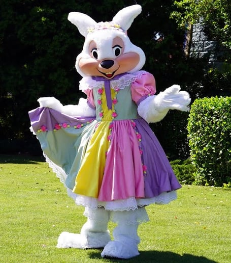 Gallery photo 2 of Bunnys R Us
