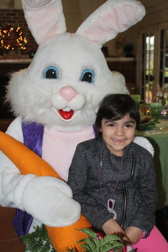 Gallery photo 2 of BunnyVisits