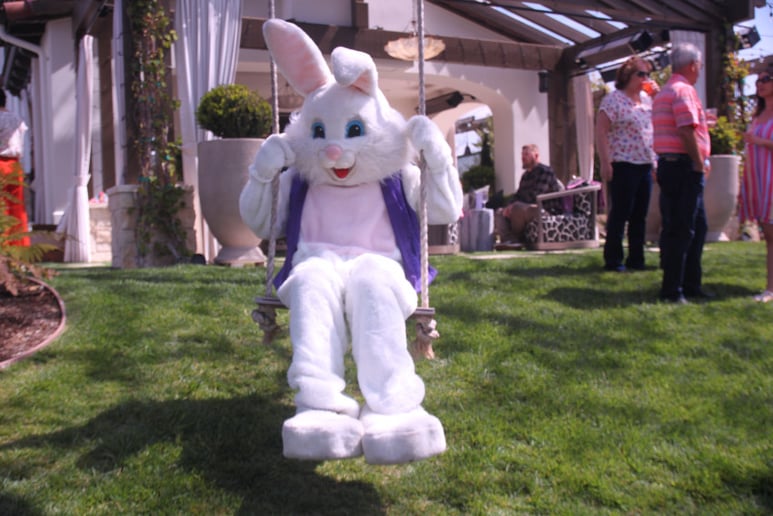 Gallery photo 4 of BunnyVisits