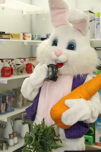 Gallery photo 5 of BunnyVisits