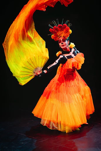 Gallery photo 2 of Variety Entertainment