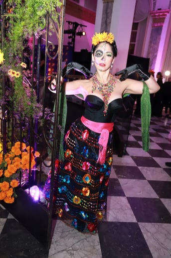Gallery photo 10 of Variety Entertainment