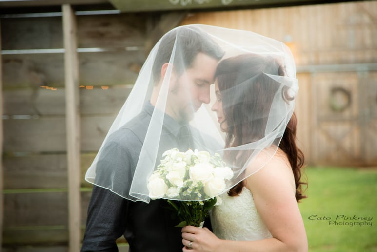Gallery photo 1 of C. Pinkney Photography