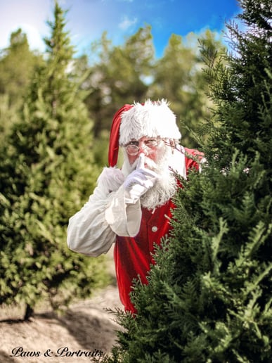 Gallery photo 3 of Cajun Claus