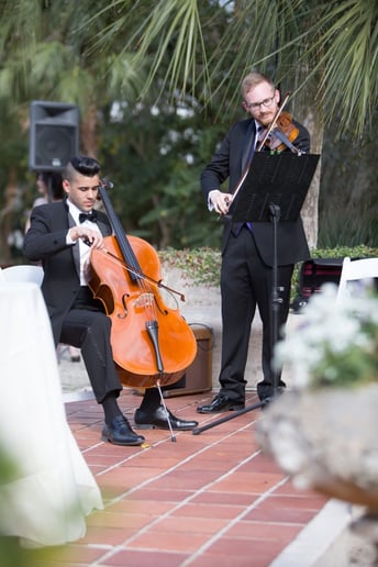 Gallery photo 6 of Cale Brandon, violin