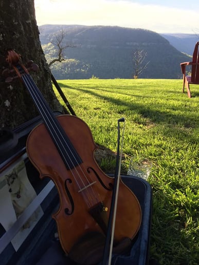 Gallery photo 8 of Cale Brandon, violin