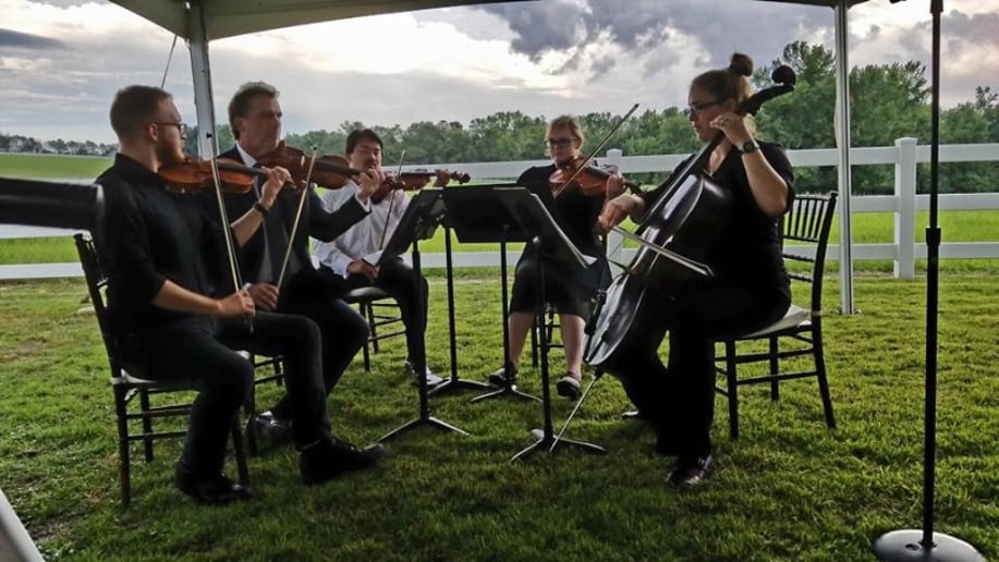 Gallery photo 2 of Cale Brandon, violin