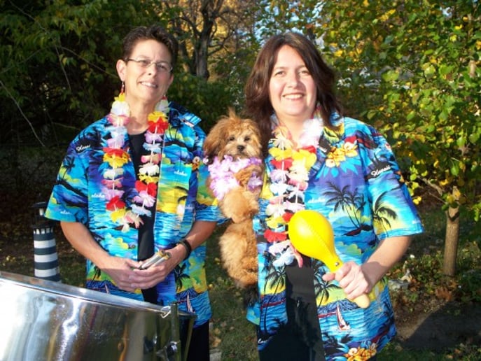 Gallery photo 1 of Calypso Bluz tropical steel drum island duo