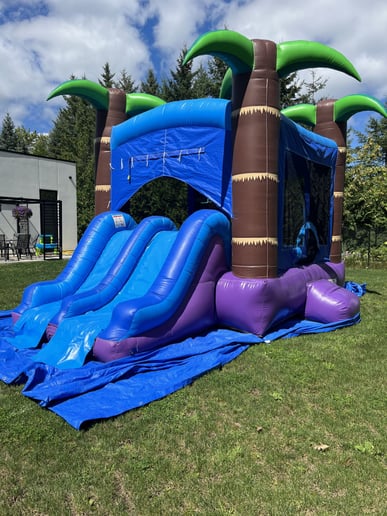 Gallery photo 4 of Cambridge Bouncy Castles