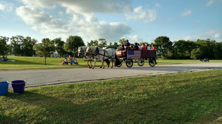 Gallery photo 4 of Carriages Camels and Critters LLC