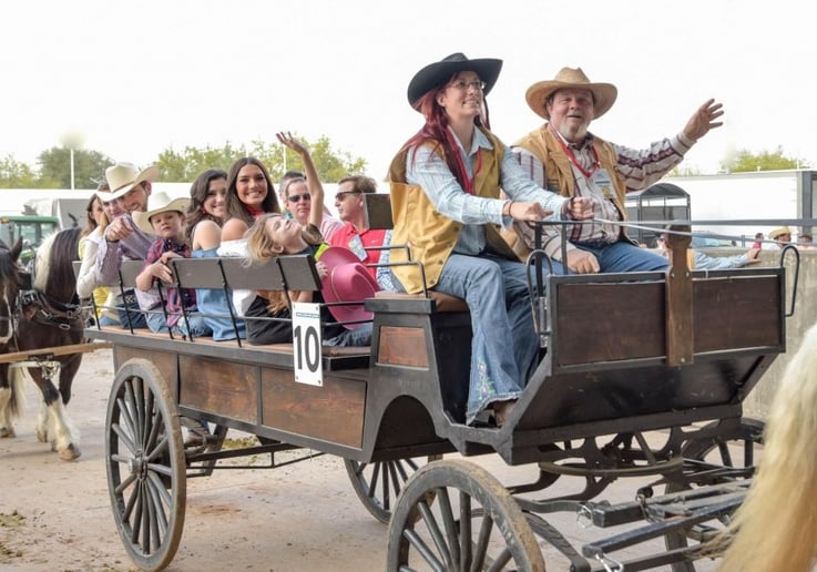 Gallery photo 5 of Carriages Camels and Critters LLC