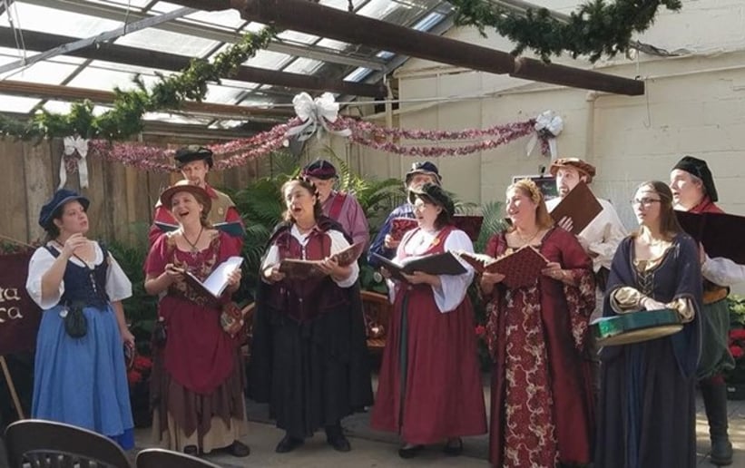 Gallery photo 1 of Camerata Musica