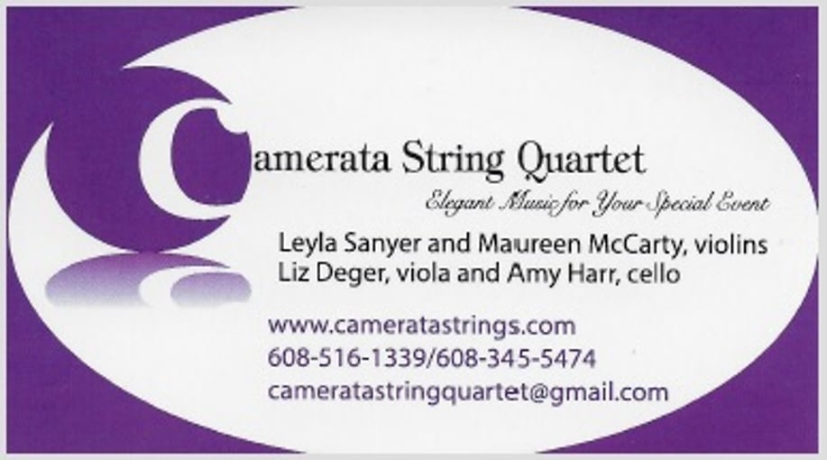 Gallery photo 3 of Camerata String Quartet