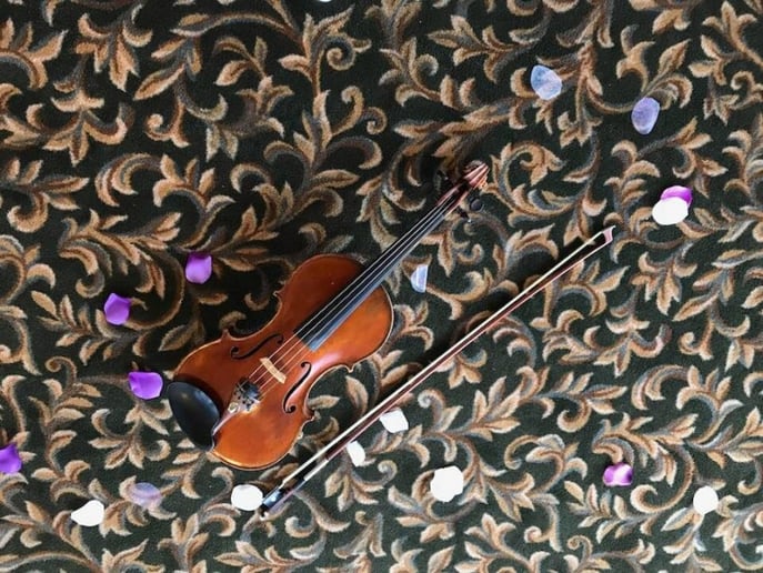 Gallery photo 5 of Camerata String Quartet