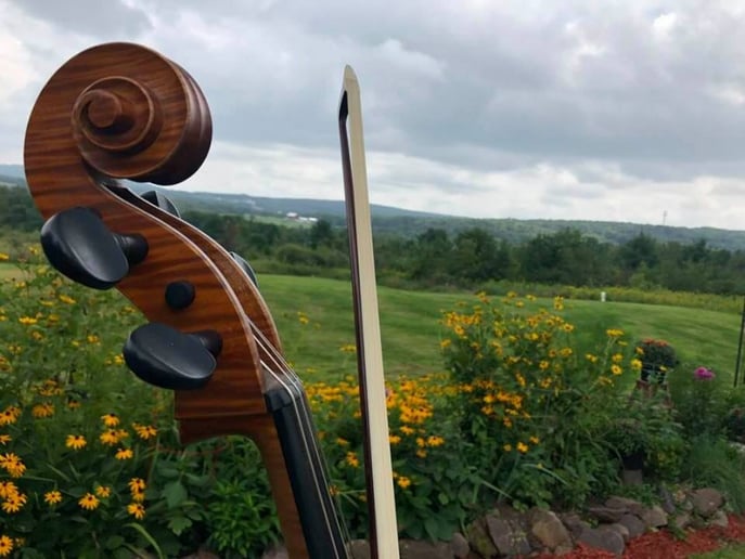 Gallery photo 6 of Camerata String Quartet