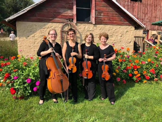 Gallery photo 7 of Camerata String Quartet