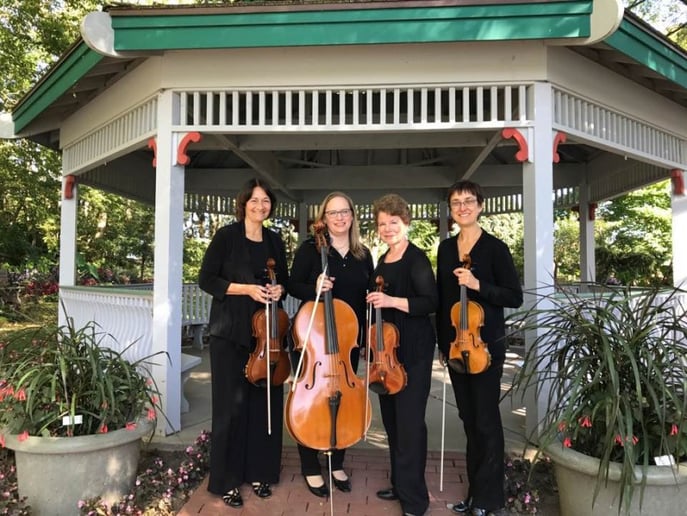 Gallery photo 10 of Camerata String Quartet