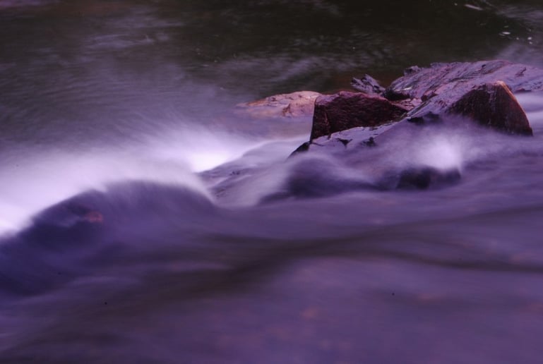 Gallery photo 1 of Cameron Carnohan Photography