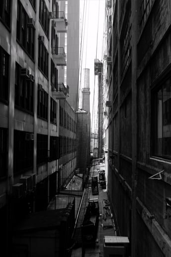 Gallery photo 8 of Cameron Carnohan Photography