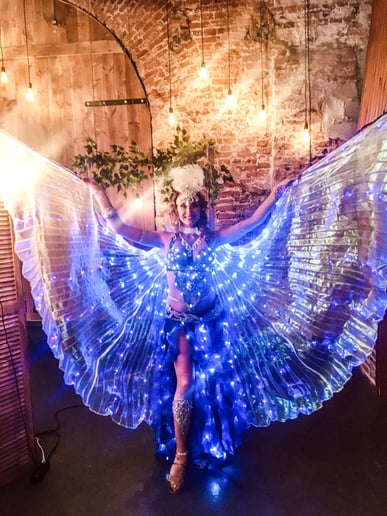 Gallery photo 8 of Camila Belly Dance and Light Show