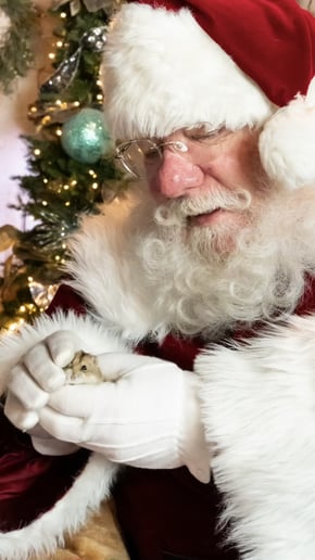 Gallery photo 1 of Campbell River Santa
