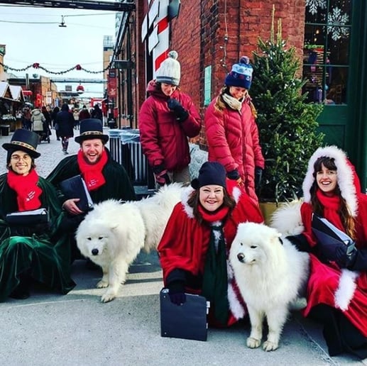 Gallery photo 6 of Candy Cane Carolers