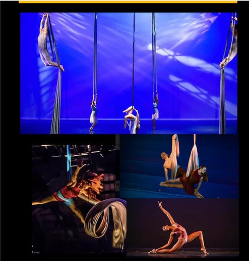 Gallery photo 4 of Cape Specialty Entertainment Group