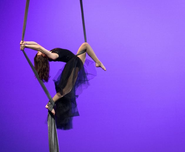 Gallery photo 13 of Cape Specialty Entertainment Group
