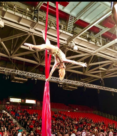 Gallery photo 18 of Cape Specialty Entertainment Group