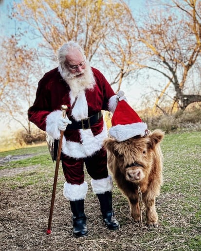 Gallery photo 2 of Santa Jim - Capital City Santa