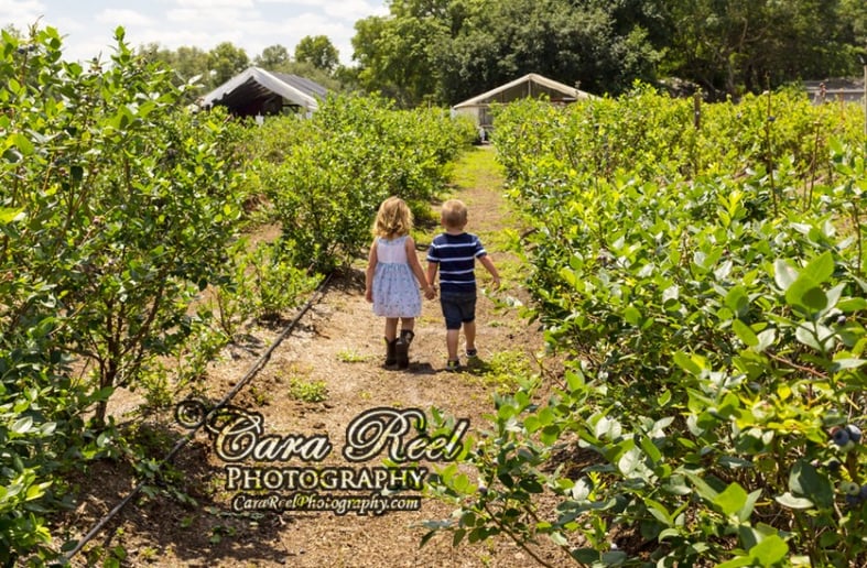 Gallery photo 1 of Cara Reel Photography