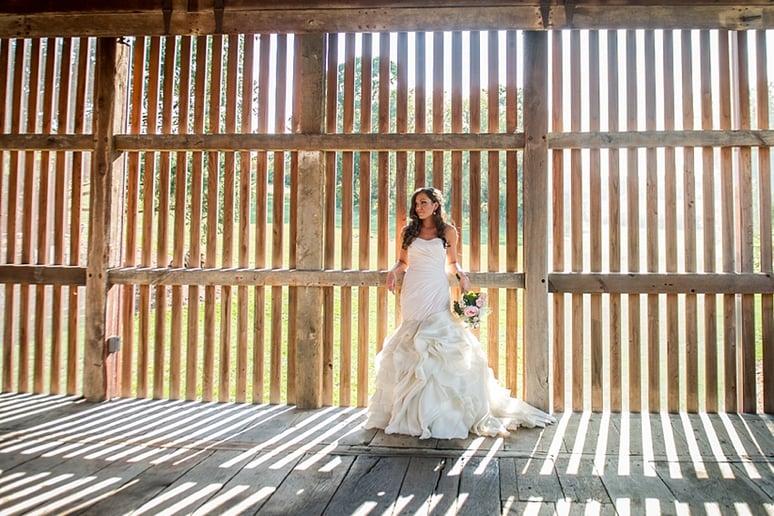 Gallery photo 2 of Carden's Photography