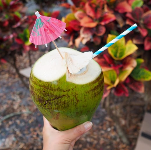 Gallery photo 4 of Caribbean Quenched