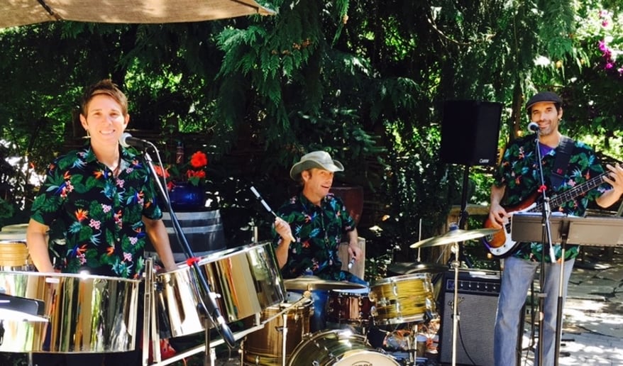 Gallery photo 9 of Caribe Steel Band