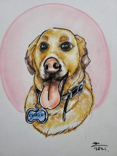 Gallery photo 3 of Caricature Creation