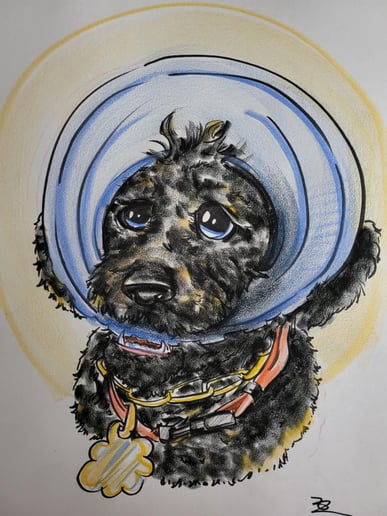 Gallery photo 4 of Caricature Creation