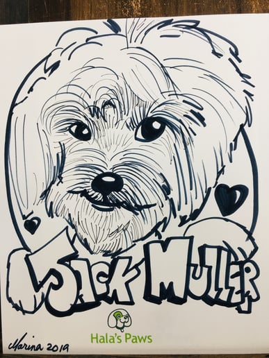 Gallery photo 18 of Caricatures By Marina