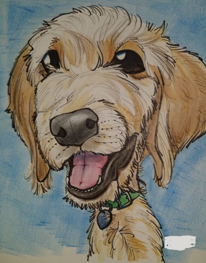 Gallery photo 5 of Caricatures Carolina
